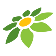 LINK MANCINGDUIT